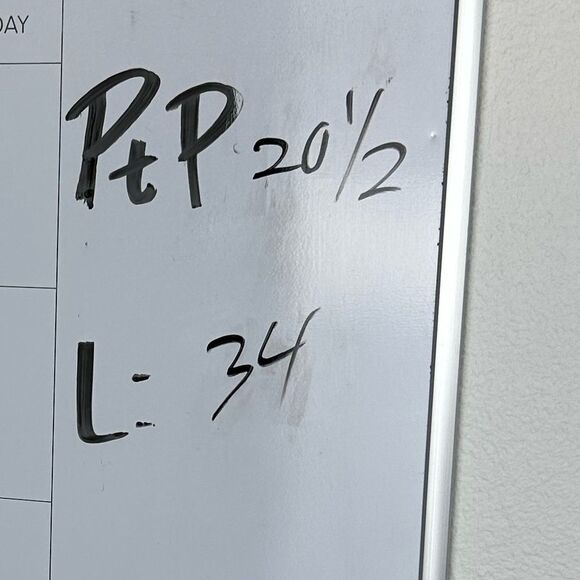 Tahari Sleeveless Button Up 100% Linen Shirt Animal Hi Low Dress Women’s Sz L - Picture 4 of 5